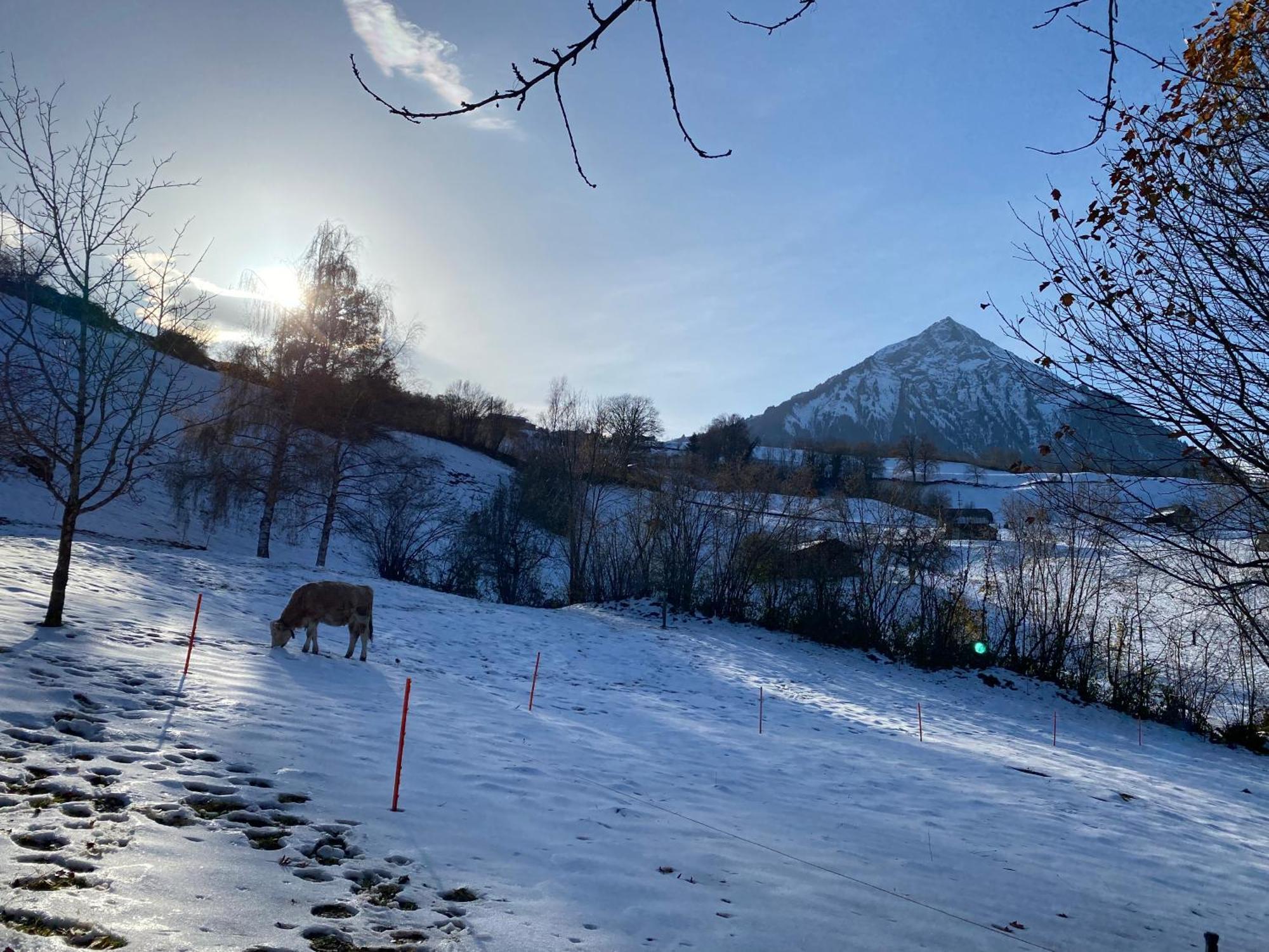 Herrlicher Blick Auf Berge Und See Faulensee Esterno foto